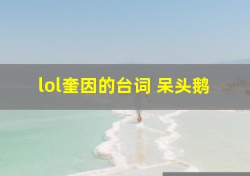 lol奎因的台词 呆头鹅